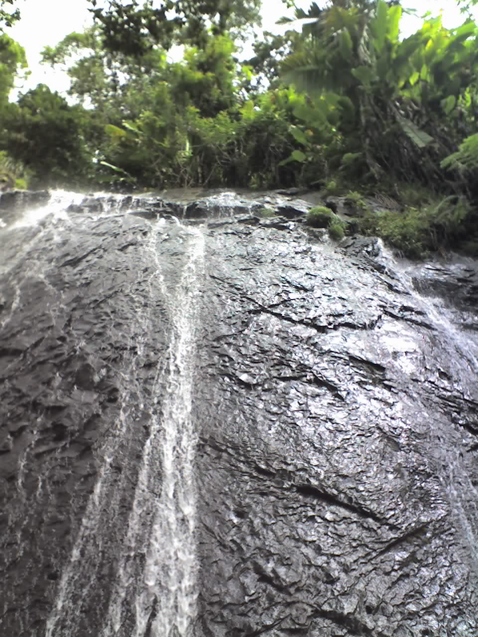 elyunque4.jpg